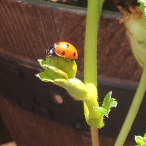 Meet your Posher, Molly